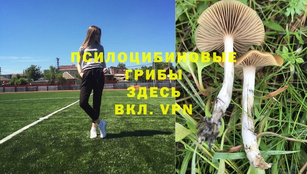 гашик Абинск