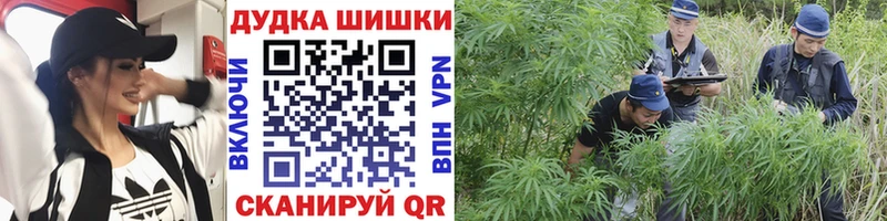 купить закладку  Алексеевка  Шишки марихуана сатива 
